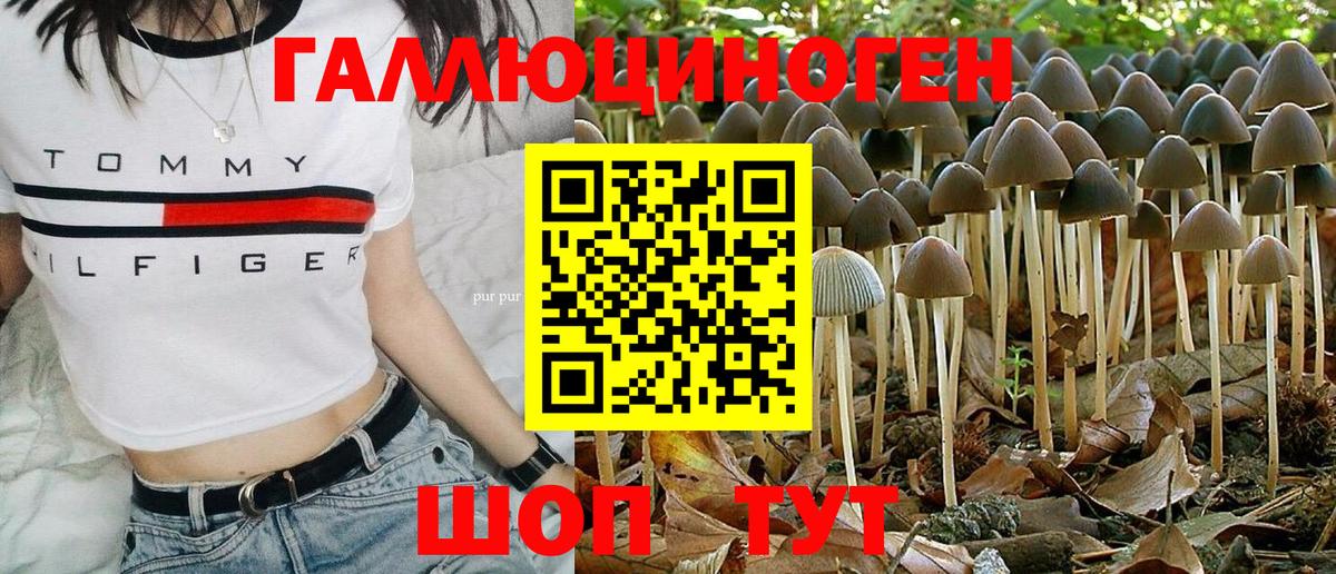 Псилоцибиновые грибы Magic Shrooms  Вход с VPN  Галлюциногенные грибы ЛСД  Мурино 
