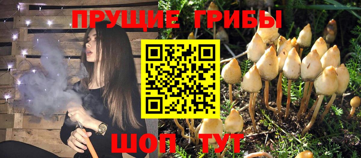 Экстази  Конопля  Меф МЯУ МЯУ кристаллы  Бошки Шишки  Мурино  A PVP СК  