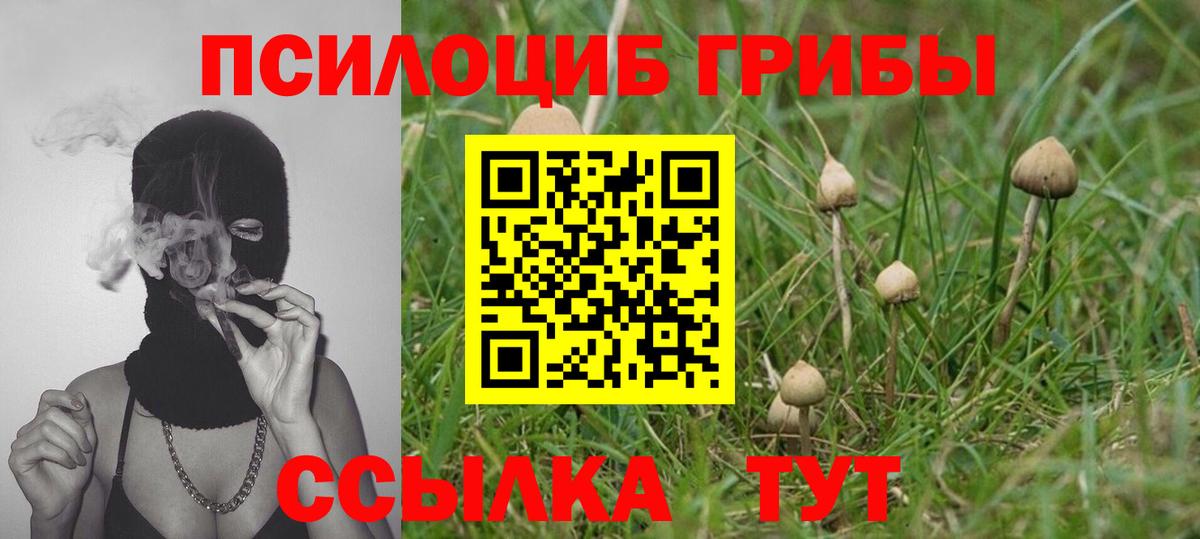 Галлюциногенные грибы MAGIC MUSHROOMS Мурино