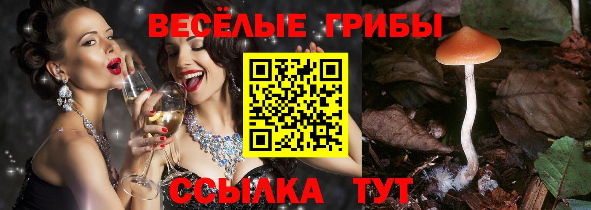 Псилоцибиновые грибы прущие грибы  Мурино 