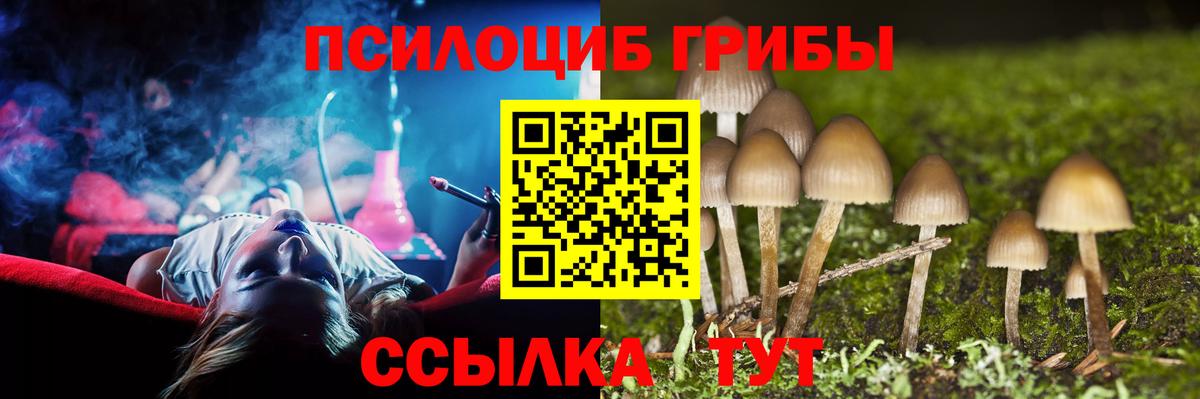 NBOMe Мурино