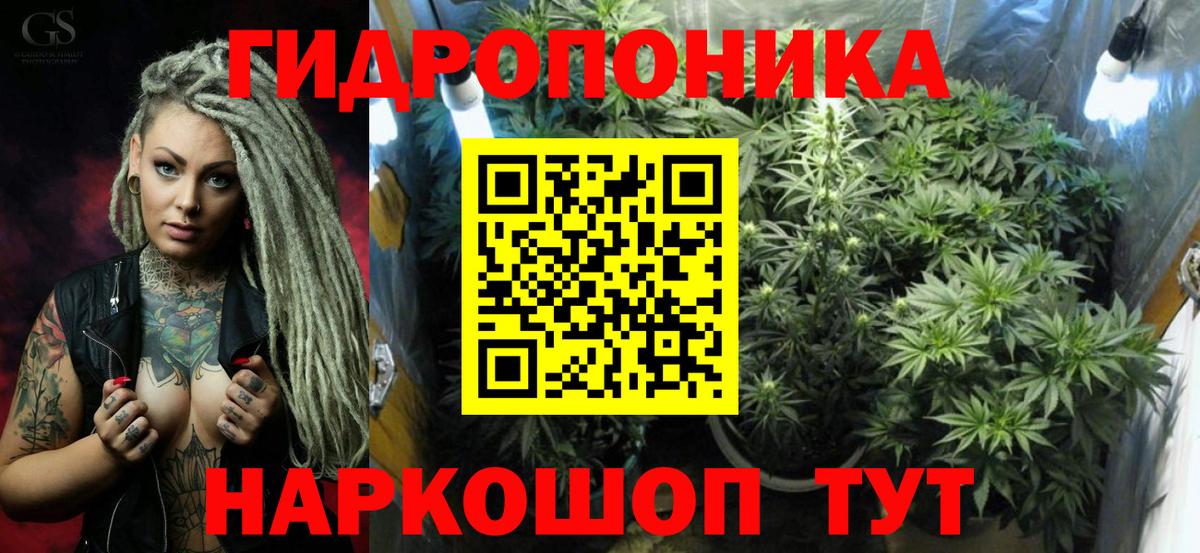 Бошки Шишки гибрид  Мурино  Марихуана MAZAR  Бошки марихуана Ganja 